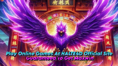 Exploring Halte4D: A Digital Platform for Online Gaming Enthusiasts